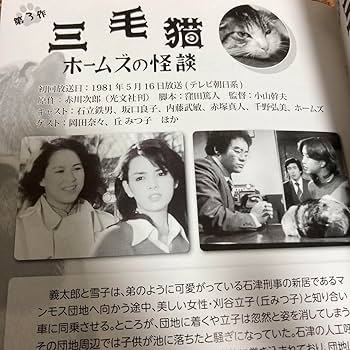 Amazon.co.jp: 赤川次郎の三毛猫ホームズシリーズDVD BOX 〈3枚